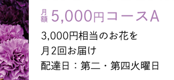画像：月額5,000円コースA　3,000円相当のお花を月2回お届け　配達日：第二・第四火曜日