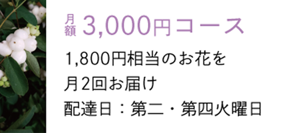 画像：月額3,000円コース　1,800円相当のお花を月2回お届け　配達日：第二・第四火曜日