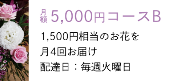 画像：月額5,000円コースB　1,500円相当のお花を月4回お届け　配達日：毎週火曜日